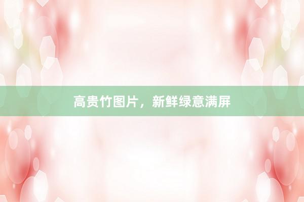 高贵竹图片,新鲜绿意满屏
