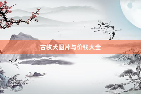 古牧犬图片与价钱大全