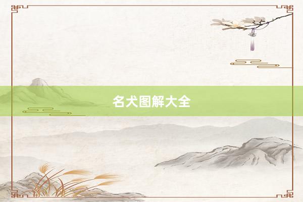 名犬图解大全